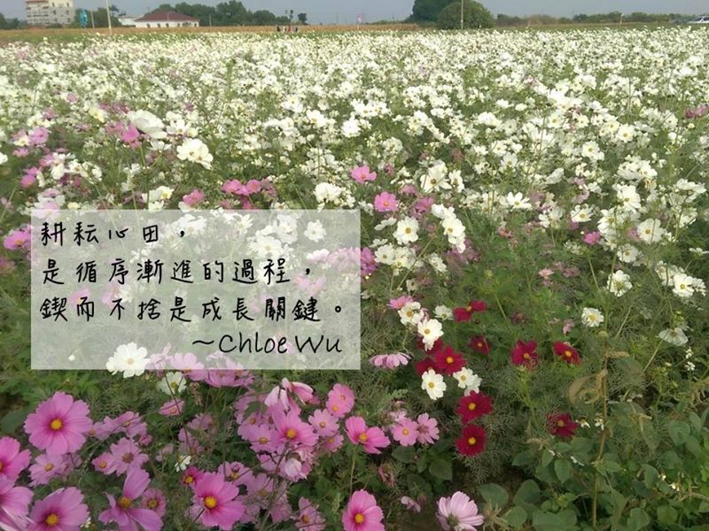 1622182_640548569409421_6856147221904478831_n